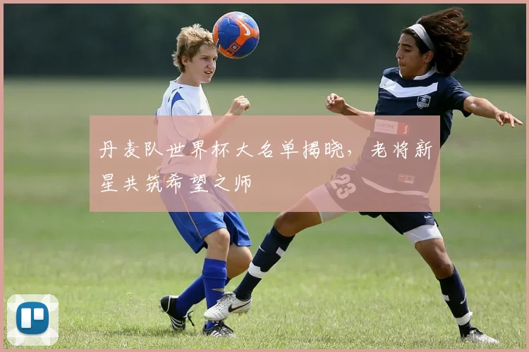 丹麦队世界杯大名单揭晓，老将新星共筑希望之师
